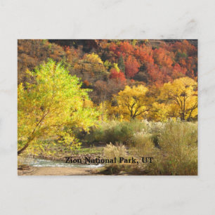 Zion National Park, Utah Autumn Färger Scenery Vykort