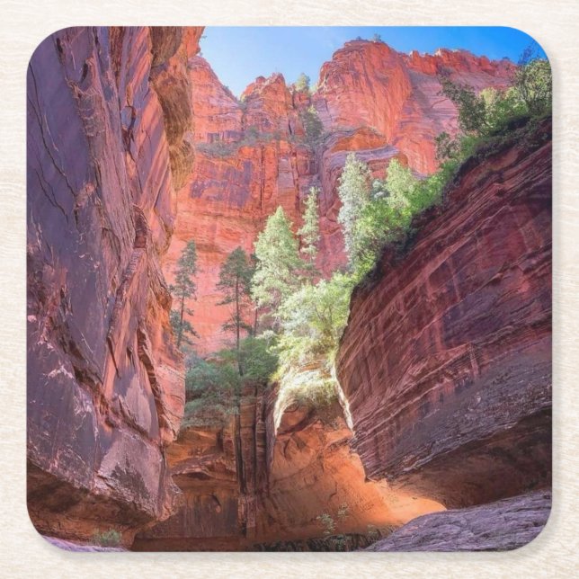 Zion National Park, Utah, Förenta staterna Underlägg Papper Kvadrat (Framsidan)