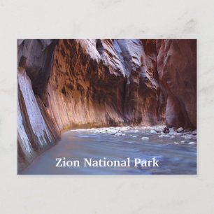 Zion National Park Utah Travel Postkort Vykort