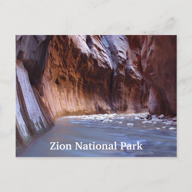 Zion National Park Utah Travel Postkort Vykort (Framsida)