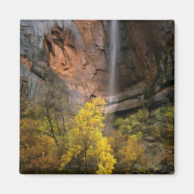 Zion National Park, Utah. USA. Ephemeral Magnet (Framsidan)