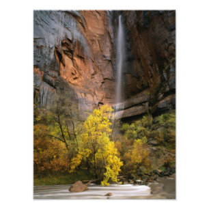 Zion National Park, Utah. USA. Flyktig Fototryck