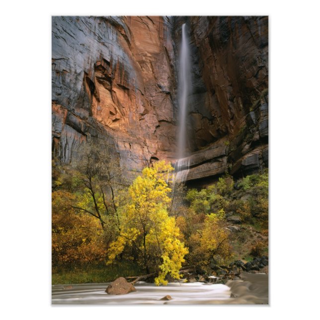 Zion National Park, Utah. USA. Flyktig Fototryck (Framsidan)