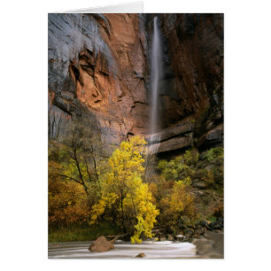 Zion National Park, Utah. USA. Flyktig Hälsningskort