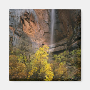 Zion National Park, Utah. USA. Flyktig Magnet