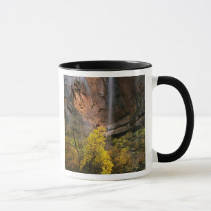 Zion National Park, Utah. USA. Flyktig Mugg