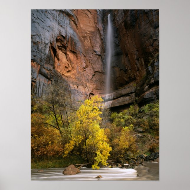 Zion National Park, Utah. USA. Flyktig Poster (Framsidan)