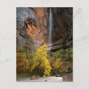 Zion National Park, Utah. USA. Flyktig Vykort
