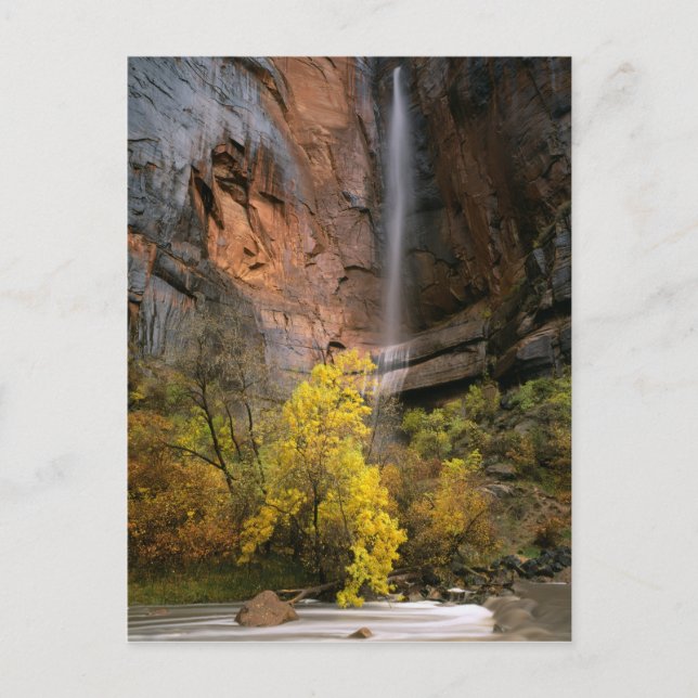 Zion National Park, Utah. USA. Flyktig Vykort (Framsida)