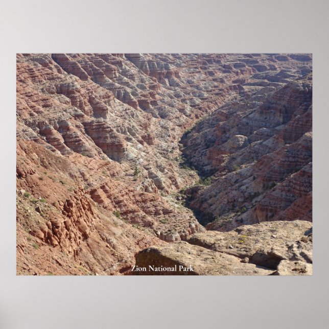 Zion nationalpark poster (Framsidan)