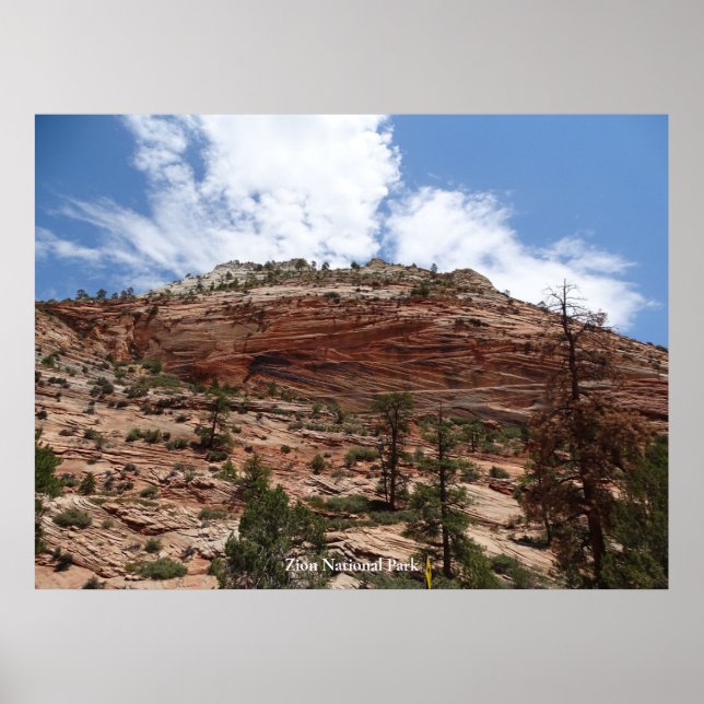 Zion nationalpark poster (Framsidan)