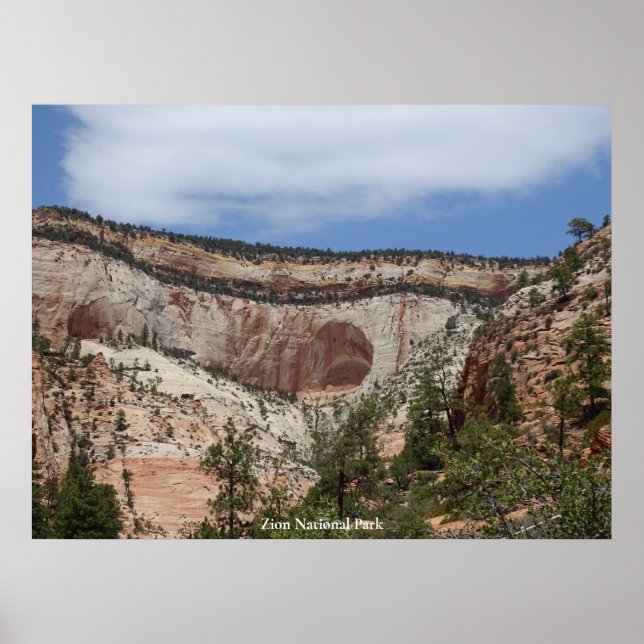 Zion nationalpark poster (Framsidan)