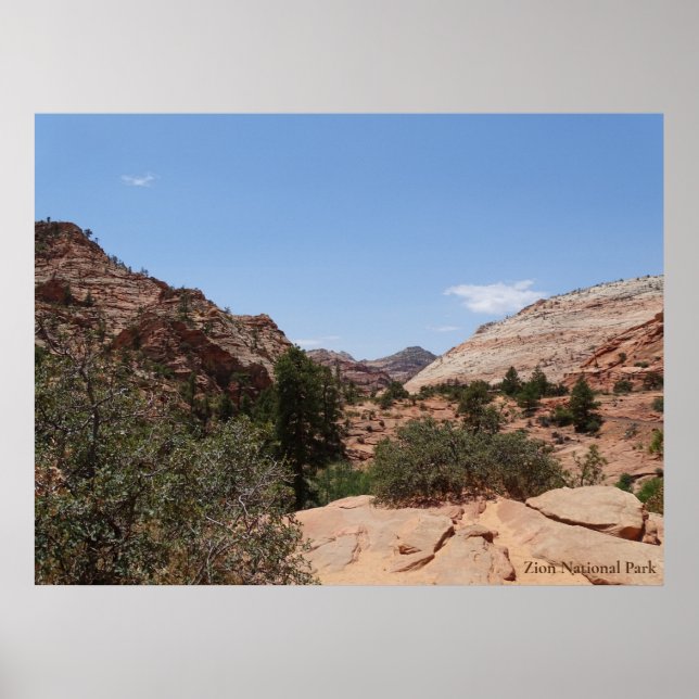 Zion nationalpark poster (Framsidan)