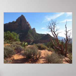 Zion nationalpark poster