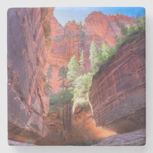 Zion Nationalpark, Utah, USA Stenunderlägg