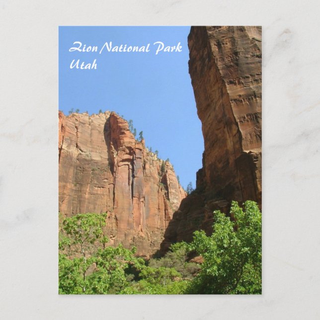 Zion nationalpark vykort (Framsida)