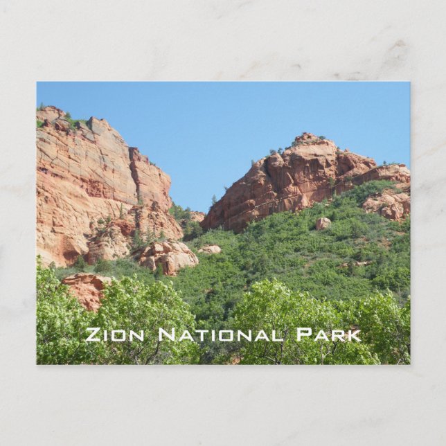 Zion nationalpark vykort (Framsida)
