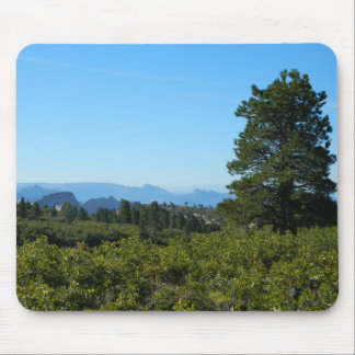 Zion Ponderosa Musmatta