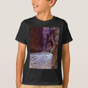 Zion trångt pass som fotvandrar till och med t shirt