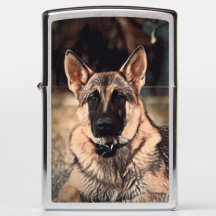 Zippo för tysk herdehund fick- tändare