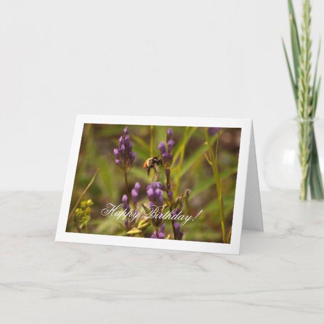 Zippy bi; Grattis på födelsedagen Kort (Framsida)