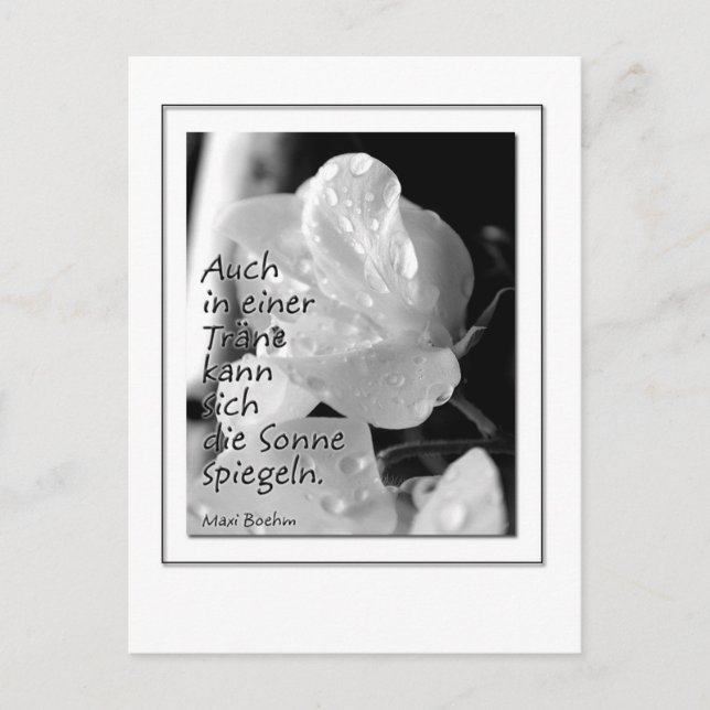 Zitat-Traene Vykort (Framsida)