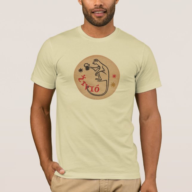 ZIVIO T-SHIRT (Framsida)