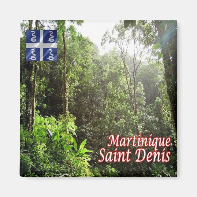 zMQ008 SAINT DENIS, Rainforest, Martinique, Fridge Magnet (Framsidan)