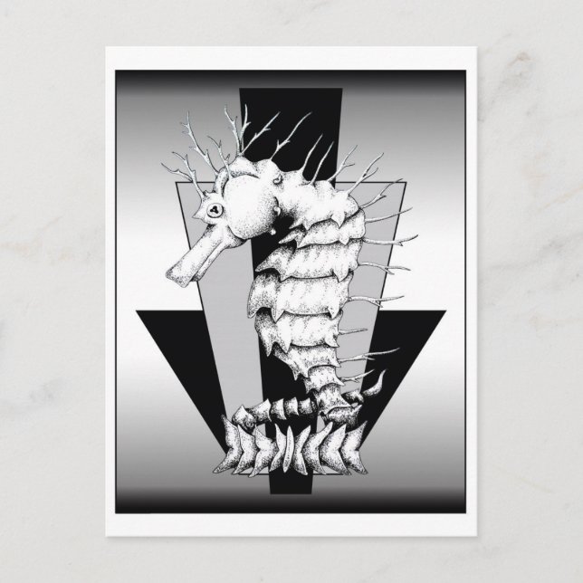 ZNDC Studios Seahorse Torn Vykort (Framsida)