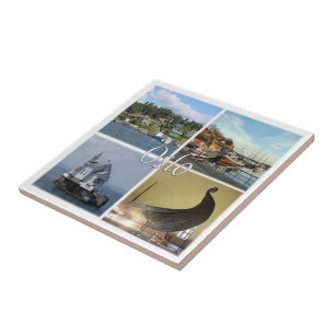 zNO013 OSLO, Norge, Europa Kakelplatta