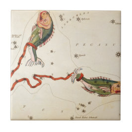 "Zodia Sign: Pisces" keramisk panel Kakelplatta