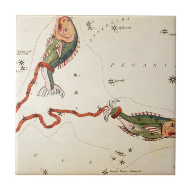 "Zodia Sign: Pisces" keramisk panel Kakelplatta (Framsidan)