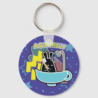 ZODIAC - AQUARIUS NYCKELRING