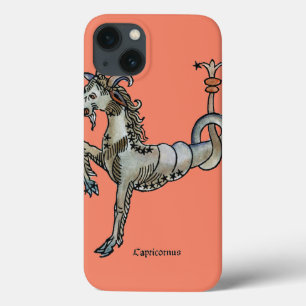 Zodiac: Capricorn 1482