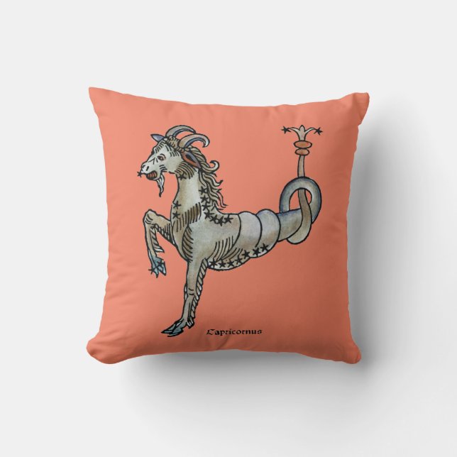 Zodiac: Capricorn 1482 Kudde (Framsida)