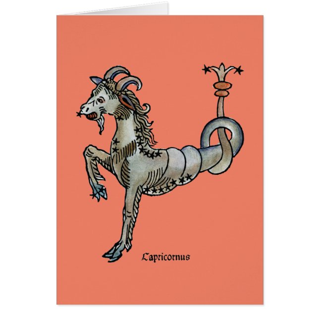 Zodiac: Capricorn 1482 OBS Kort (Framsidan)