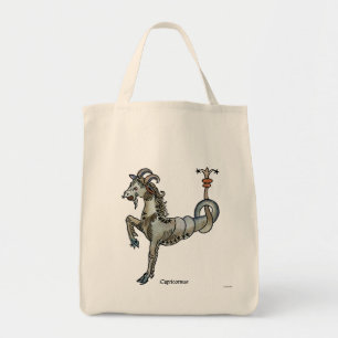 Zodiac: Capricorn 1482 Tygkasse