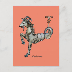 Zodiac: Capricorn, 1482 Vykort