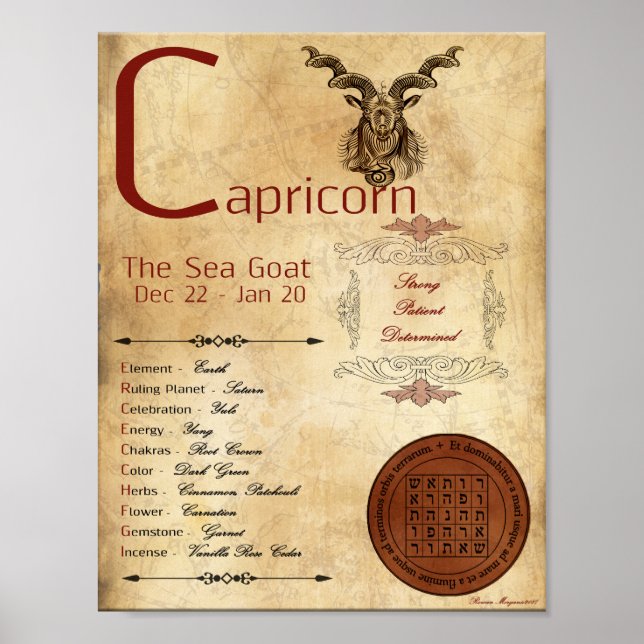 ZODIAC CAPRICORN Birth Sign POSTER (Framsidan)