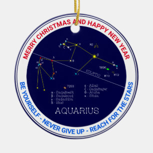 Zodiac Constellation Aquarius Julgransprydnad Keramik