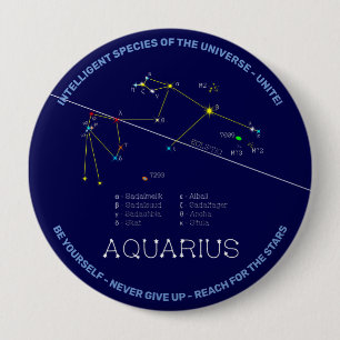 Zodiac Constellation Aquarius Knapp