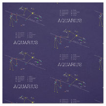 Zodiac Constellation Aquarius
