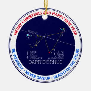 Zodiac Constellation Capricornus Julgransprydnad Keramik