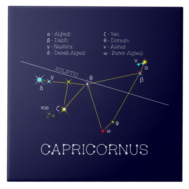 Zodiac Constellation Capricornus Kakelplatta (Framsidan)