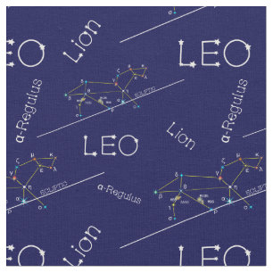 Zodiac Constellation Leo Tyg