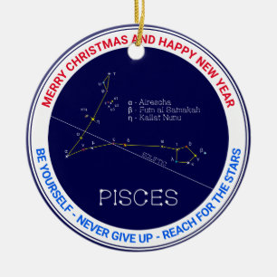 Zodiac Constellation Pisces Julgransprydnad Keramik