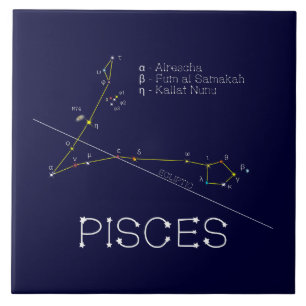 Zodiac Constellation Pisces Kakelplatta