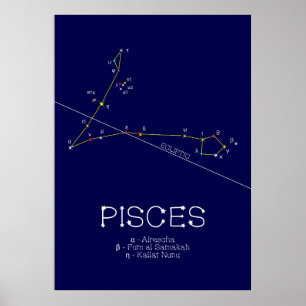 Zodiac Constellation Pisces Poster
