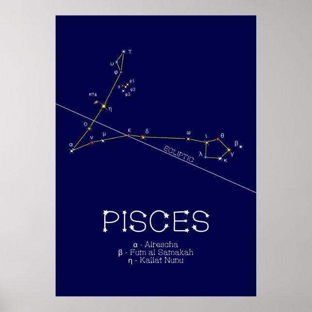 Zodiac Constellation Pisces Poster (Framsidan)