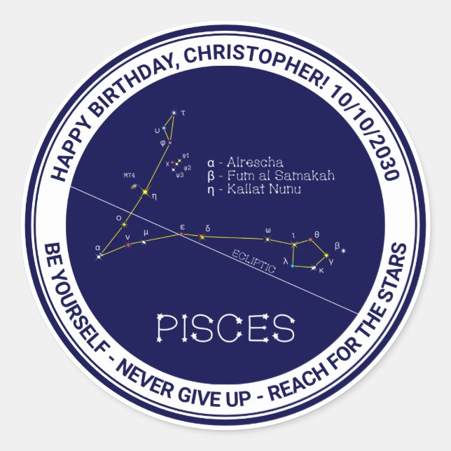 Zodiac Constellation Pisces Runt Klistermärke (Framsida)